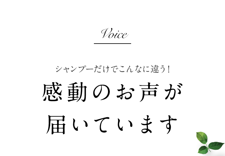 シャンプーだけでこんなに違う！感動のお声が届いています