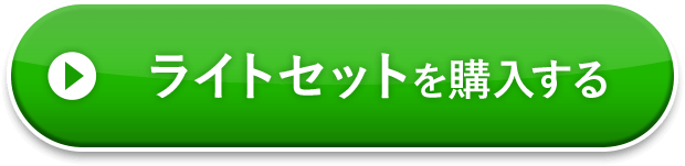 ライトセットを購入する