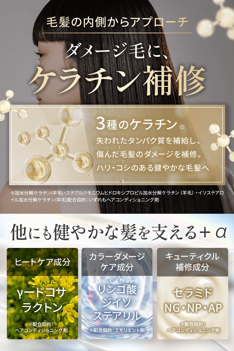 毛髪の内側からアプローチ ダメージ毛に、ケラチン補修