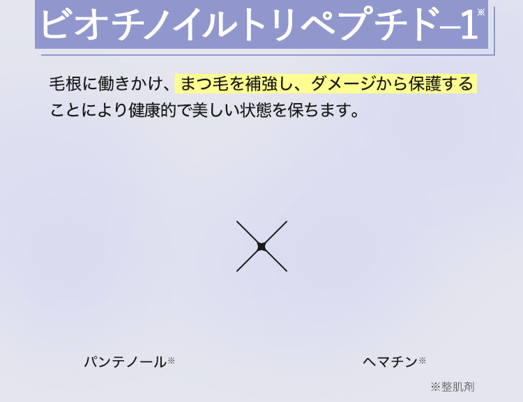 ビオチノイルトリペプチド–1（※整肌剤）毛根に働きかけ、まつ毛を補強し、ダメージから保護することにより健康的で美しい状態を保ちます。