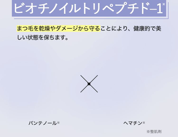 ビオチノイルトリペプチド–1（※整肌剤）毛根に働きかけ、まつ毛を強くし、ダメージから保護することにより健康的で美しい状態を保ちます。