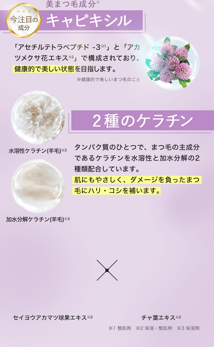 タンパク質のひとつで、まつ毛の主成分であるケラチンを水溶性と加水分解の2種類配合しています。肌にもやさしく、ダメージを負ったまつ毛を内側から補修＆潤いを与えてハリ・コシを補います。