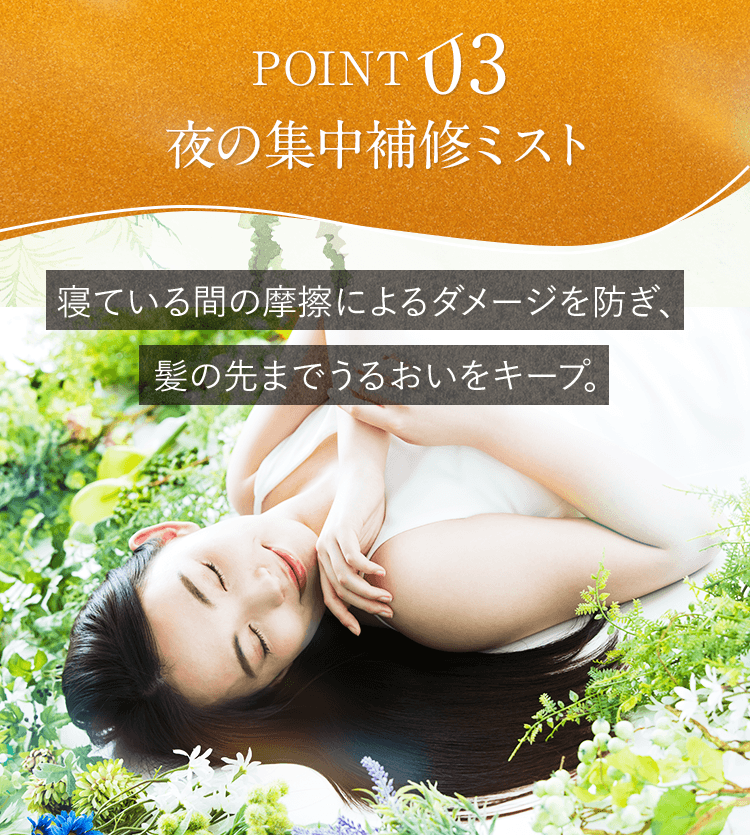 POINT3 夜の集中補修ミスト