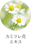 カミツレ花 エキス